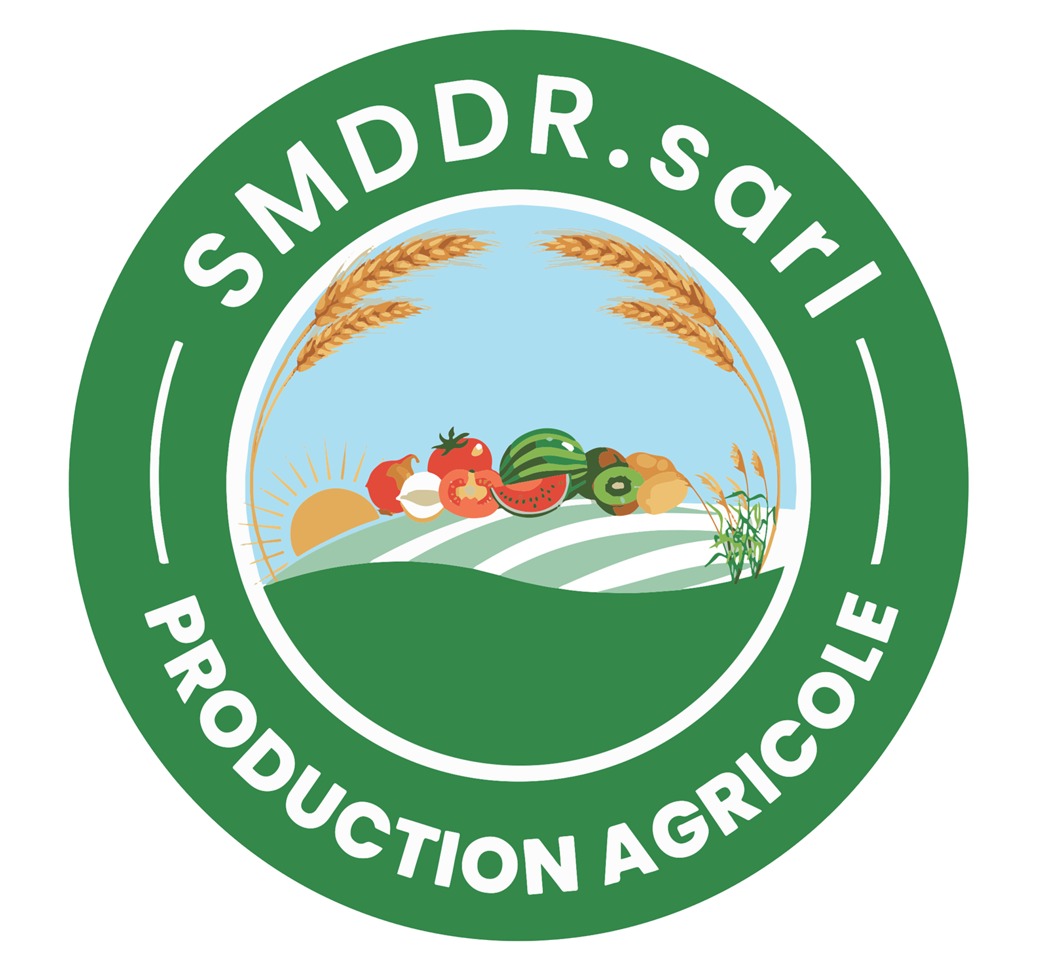 SMDDR